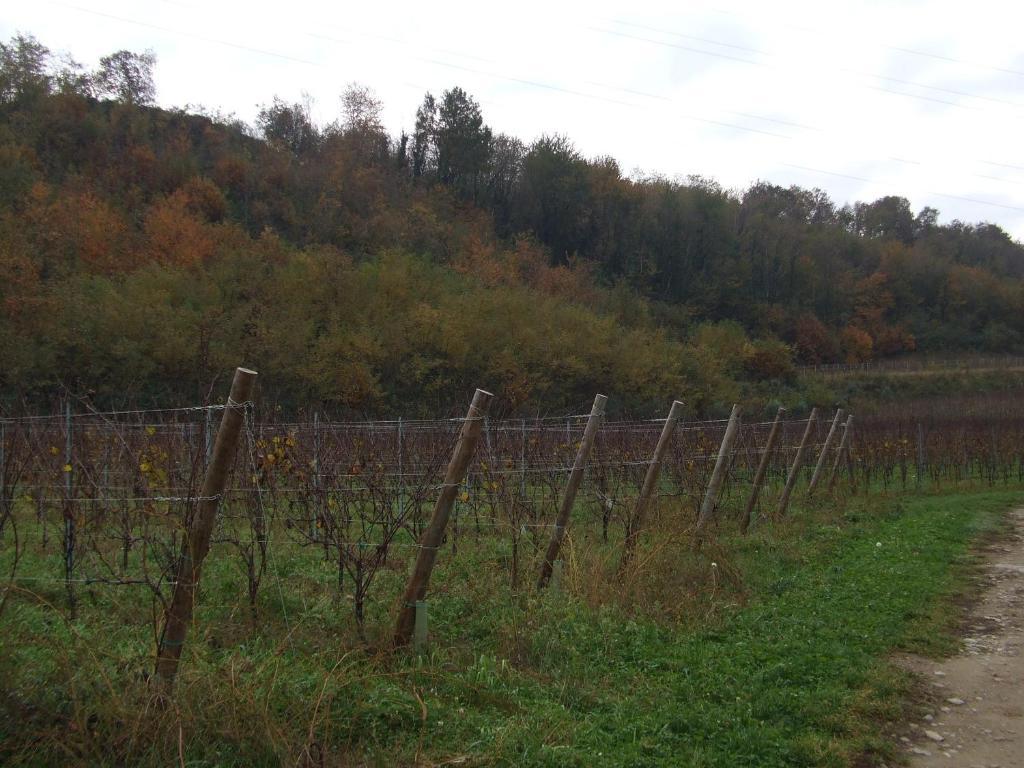 Cascina Rossano Bauernhof Provaglio d'Iseo