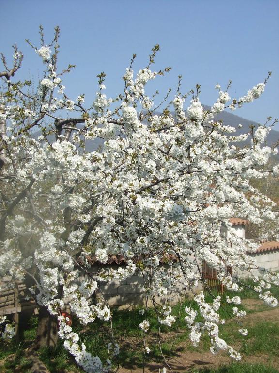 Cascina Rossano