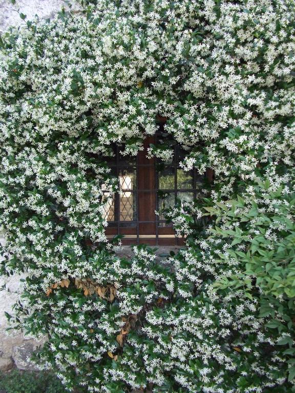 Bauernhof Cascina Rossano Provaglio d'Iseo