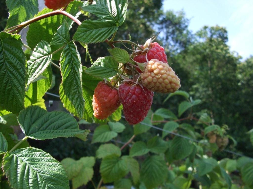 Cascina Rossano * Provaglio d'Iseo