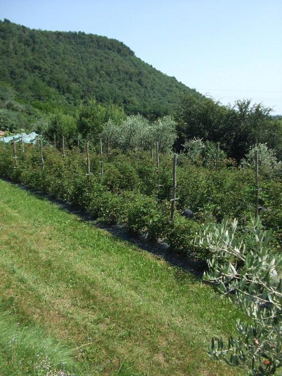 Alojamento de Turismo Rural Cascina Rossano Provaglio d'Iseo