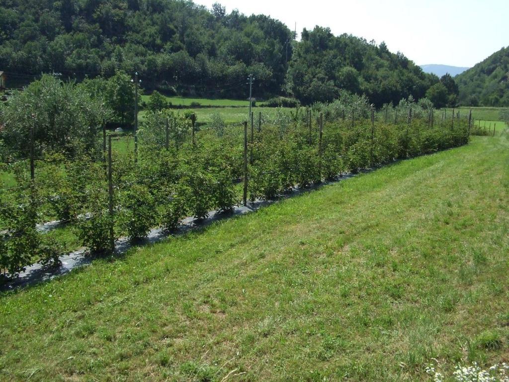 Cascina Rossano Bauernhof Provaglio d'Iseo